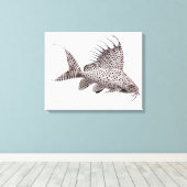 Synodontis Eupterus Catfish Wrapped Canvas Leinwanddruck (Insitu (Holzboden))