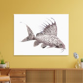 Synodontis Eupterus Catfish Wrapped Canvas Leinwanddruck (Insitu (Wohnzimmer))