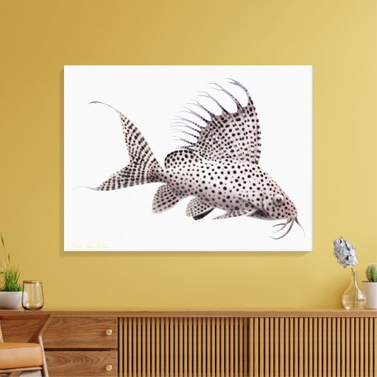 Synodontis Eupterus Catfish Wrapped Canvas Leinwanddruck (Insitu (Wohnzimmer))