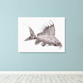 Synodontis Eupterus Catfish Wrapped Canvas Leinwanddruck (Insitu (Holzboden))