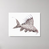 Synodontis Eupterus Catfish Wrapped Canvas Leinwanddruck (Vorderseite)