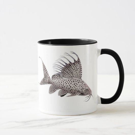 Synodontis eupterus Wels-Tasse Tasse (Rechts)