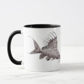 Synodontis eupterus Wels-Tasse Tasse (Links)