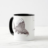 Synodontis eupterus Wels-Tasse Tasse (Vorderseite Links)