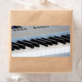 Synthesizer-Tastatur (Insitu)