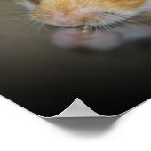 Syrian Hamster Poster (Ecke)