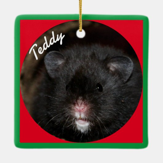 Syrian Pet Hamster - Standard Hamster - Black Bar Keramikornament (Rückseite)