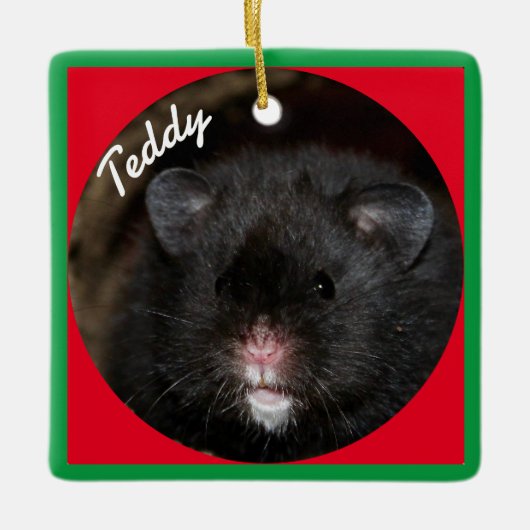 Syrian Pet Hamster - Standard Hamster - Black Bar Keramikornament (Vorderseite)