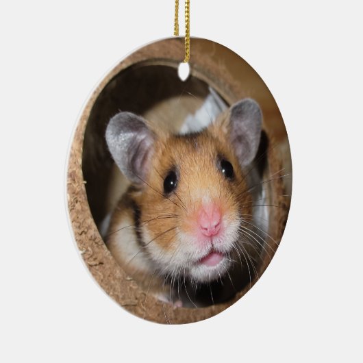 Syrian Pet Hamster - Standard Hamster - Teddy Bear Keramik Ornament (Rechts)