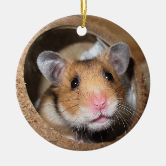 Syrian Pet Hamster - Standard Hamster - Teddy Bear Keramik Ornament (Vorne)