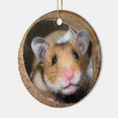 Syrian Pet Hamster - Standard Hamster - Teddy Bear Keramik Ornament (Links)