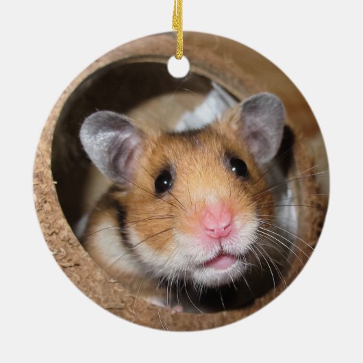 Syrian Pet Hamster - Standard Hamster - Teddy Bear Keramik Ornament (Hinten)