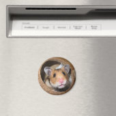 Syrian Pet Hamster - Standard Hamster - Teddy Bear Magnet (In Situ (Geschirrspüler))