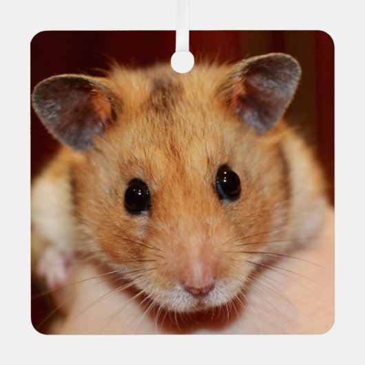 Syrian Pet Hamster - Standard Hamster - Teddy Bear Ornament Aus Metall (Vorderseite)