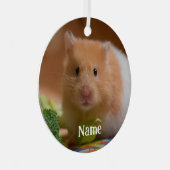 Syrian Pet Hamster - Standard Hamster - Teddy Bear Ornament Aus Metall (Vorderseite Rechts)
