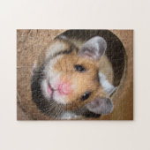 Syrian Pet Hamster - Standard Hamster - Teddy Bear Puzzle (Horizontal)