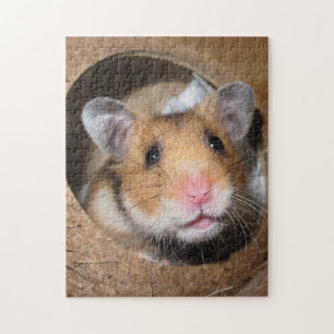 Syrian Pet Hamster - Standard Hamster - Teddy Bear Puzzle