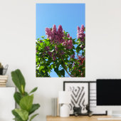 Syringa, Lilac-Blume Poster (Heimbüro)