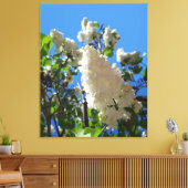 Syringa, White Lilac Blume Tree Leinwanddruck (Insitu (Wohnzimmer))