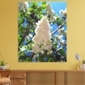 Syringa, White Lilac Blume Tree Leinwanddruck (Insitu (Wohnzimmer))