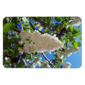 Syringa, White Lilac Blume Tree Magnet (Horizontal)