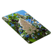 Syringa, White Lilac Blume Tree Magnet (Rechte Seite)