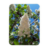 Syringa, White Lilac Blume Tree Magnet (Vertikal)