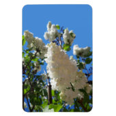 Syringa, White Lilac Blume Tree Magnet (Vertikal)
