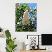 Syringa, White Lilac Blume Tree Poster (Heimbüro)