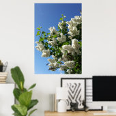 Syringa, White Lilac Blume Tree Poster (Heimbüro)