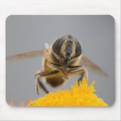 Syrphidae Mousepad (Vorne)