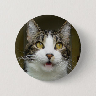 Syrus entsetzte Knopf 0001 Button