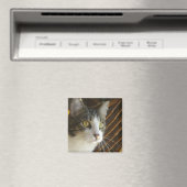 Syrus Magnet 003 (In Situ (Geschirrspüler))