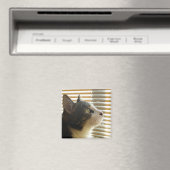 Syrus Magnet 004 (In Situ (Geschirrspüler))
