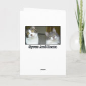 Syrus Shocked Grußkarte 0001 Karte (Rückseite)