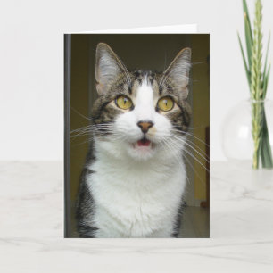 Syrus Shocked Grußkarte 0001 Karte