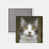 Syrus Shocked Magnet 0001 (Vorderseite/Rückseite)