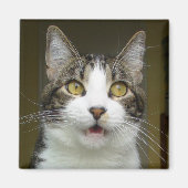 Syrus Shocked Magnet 0001 (Vorne)