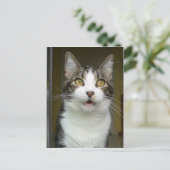 Syrus Shocked Postcard 0001 Postkarte (Stehend Vorderseite)