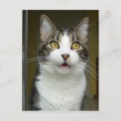 Syrus Shocked Postcard 0001 Postkarte (Vorderseite)