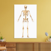 System des menschlichen Skeletts, Rückseite Leinwanddruck (Insitu (Wohnzimmer))