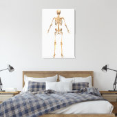 System des menschlichen Skeletts, Rückseite Leinwanddruck (Insitu (Schlafzimmer))