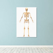 System des menschlichen Skeletts, Rückseite Leinwanddruck (Insitu (Holzboden))
