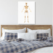System des menschlichen Skeletts, Vorderansicht Leinwanddruck (Insitu (Schlafzimmer))
