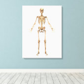 System des menschlichen Skeletts, Vorderansicht Leinwanddruck (Insitu (Holzboden))