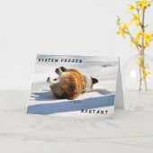 System eingefroren, Wiederanlauf!! Karte (Gelbe Blume)