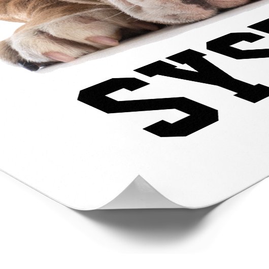 SYSTEMFEHLER POSTER (Ecke)