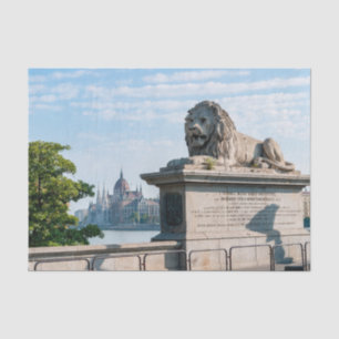 Széchenyi Kettenbrücke und Parlament von Budapest Seidenpapier