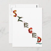 Szeged Chili Paprikaschoten Postkarte (Vorne/Hinten)