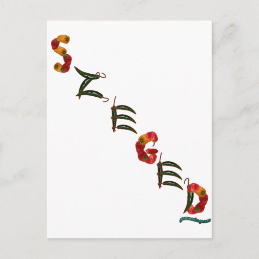 Szeged Chili Paprikaschoten Postkarte (Vorderseite)